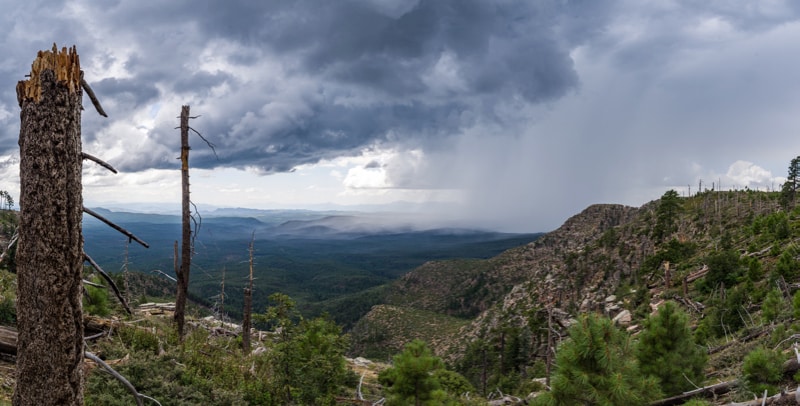 Image of a monsoon thunderstorm in Arizona.