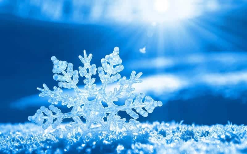 Stories in the Snow, a Citizen Science project