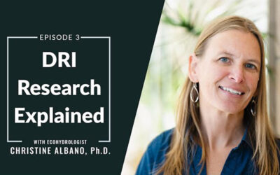 Science for Human Resiliency in a Time of Droughts, Floods, and Fires: An Interview With Ecohydrologist Christine Albano