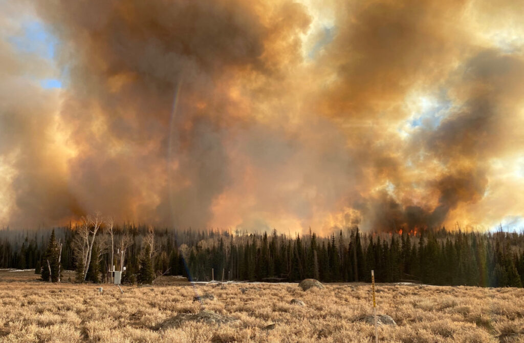 smoke coming from a burning forest