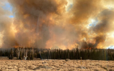 Preparing Communities for the Future of Wildfire