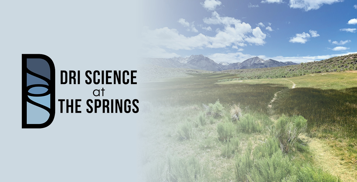 DRI Science at the Springs